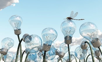 Scientists Effectively Create a Method to Triage Declining Ecosystems