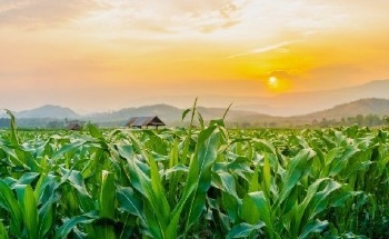 Availability of Renewable Energy Sources At Risk