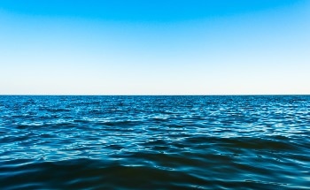 Single Catalyst Can Split Water at Low Voltage