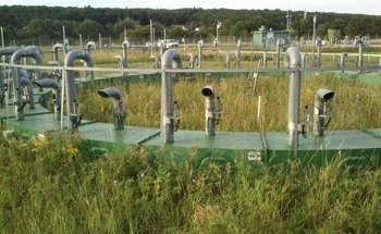 Planting Trees Not Best Method to Trap Carbon Dioxide