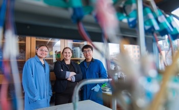 Taking Inspiration From Nature: Novel CO2 Reduction Strategy