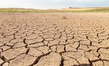 Global Warming Exacerbates “Flash Drought” Events