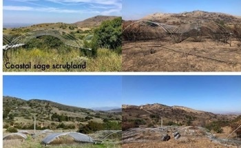 Discovering how Surface Soil Bacteria React to Climate Change