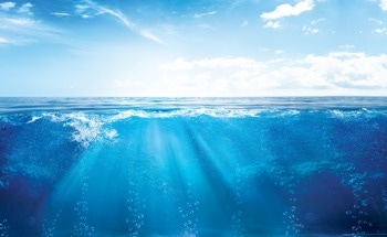 Future Climate Change May Impact Marine Ecosystems