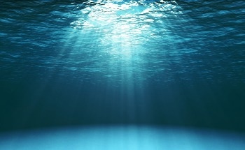 Warming Oceans Are Changing Australian Reefs