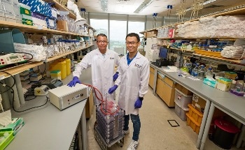 Meat of the Future: Lab-Grown Meat as an Ecofriendly Alternative to Animal Farming