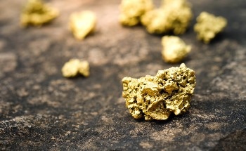 Review Highlights Ecological Impacts of Gold Mining and Restoration Strategies