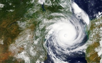 Land Hit By Cyclone Is More Susceptible to Forest Fires