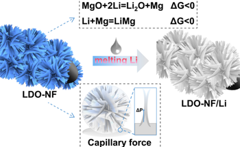Developing a 3D Composite Lithium Anode Using Thermal Infusion