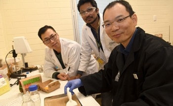 Fast-Food Rubbish Solution in Sustainable Seaweed-Based Wrapper