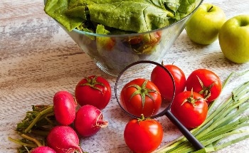 Repurposing CO2 from Building Exhaust Could Help Make Rooftop Farms More Successful