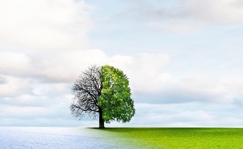 Climate Change Has Pushed Earth to “Code Red”