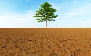 Heat Failure Threats in Ectotherms Increased by Global Warming