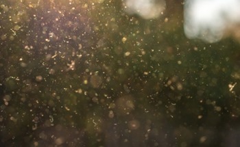 Association Between Tiny Air Particulates and Sudden Cardiac Arrests