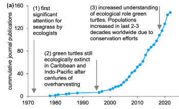 Analyzing Seagrass Ecosystem Multifunctionality