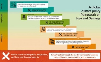Analyzing Climate-Related Losses and Damages