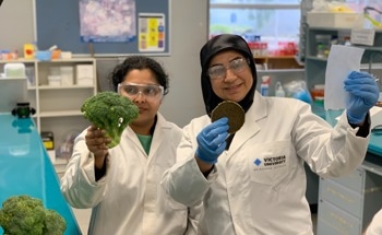 Veggie Waste Offers Green Solution to Single-use Packaging