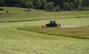 Influence of High Grassland Biodiversity on Ecosystem Applications