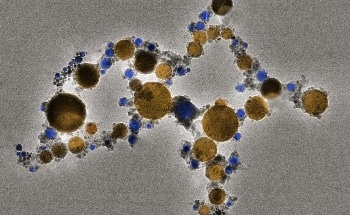 People with Neurologic Diseases Experience Worsening Symptoms Due to Climate Change
