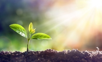Epigenetic Memories of Plants Aid Adaption to Climate Change