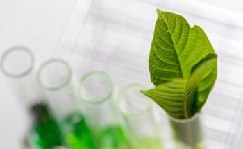 Environmental Adaptation in Plants Through Molecular Mechanism Revealed
