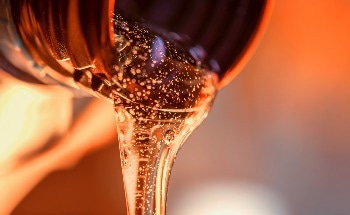 Oil Palm Expansion Threatens Biodiversity in Africa and Latin America