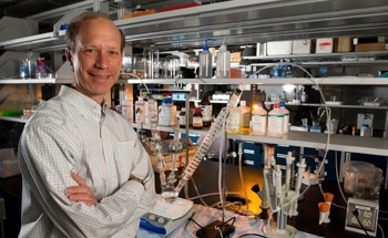Ocean Fertilization for Carbon Storage