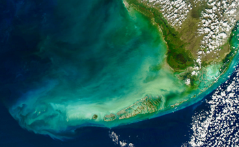 New Habitat Loss in Florida’s World-Famous Coral Reefs