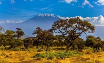 Safeguarding the World’s Mountain Ecosystems