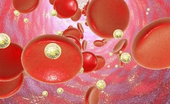 Temperature Extremes Associated with Increased Risk of Cardiovascular Deaths