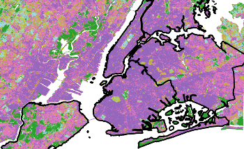 Greenery in New York City Helps in Absorbing City’s Carbon Emissions