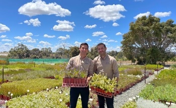 Australian Government's Chubb ACCU Review Announced Today Gives Those in Restoration Economy Confidence to Grow, says Nativ Carbon