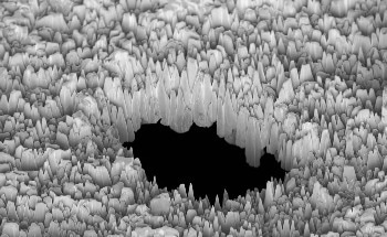 Loss of Glacial Mass Greater than Previously Projected