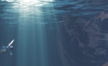 Plankton Could Hold Key for Understanding Link Between Ocean Pollution and Human Health