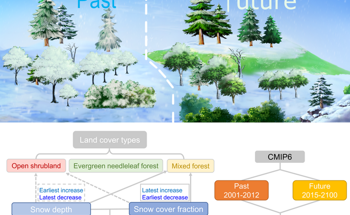 The Parametrization of Snow in Climate Models
