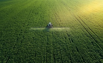 Greener Ammonia: A Green Revolution