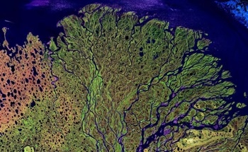 Understanding River Networks and Their Future Evolution