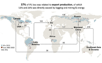 Analyzing the Links Between Forest Loss and International Trade