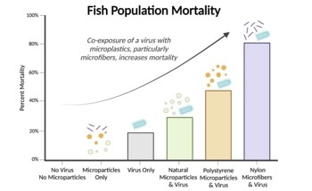 Analyzing the Interplay Between Microplastics and Infectious Disease