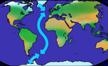 Understanding the Impact of Tipping Behavior Across Ecosystems