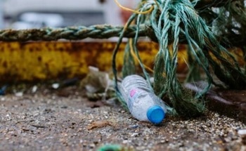 Consumer Perceptions for Future Plastic Policy Recommendations
