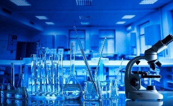 Converting Shredded, Single-Use Plastic Wastes to Useful Materials