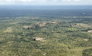 Identifying the Climate Factors Driving Vegetation Change