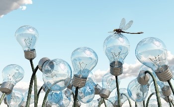 LANXESS Software Calculates Carbon Footprint for Group’s Own Products