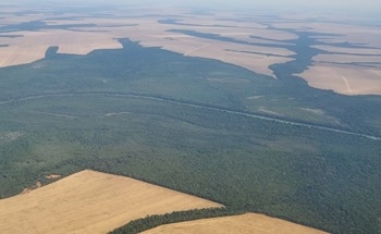 Deforestation Results in Increased Active Fires in the Brazilian Amazon