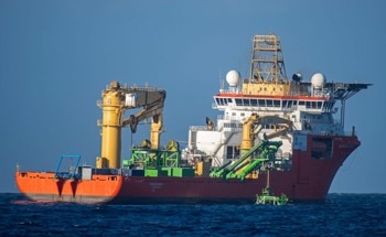 Potential Impact of Deep Seabed Mining on Cetaceans
