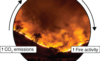 Warnings Made About Risky Climate Feedback Loops