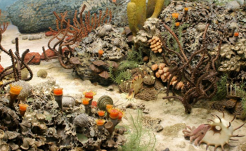 Mass Extinction Event Offers Insight Into Modern Biodiversity Crisis