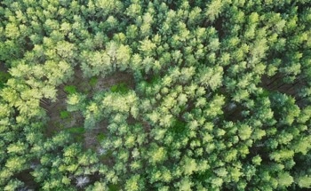 Natural Aerosols Degrade Air Quality Under Warming Temperatures