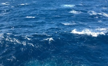 Alkalinity-Climate Feedback Loop Decelerates Ocean Carbon Absorption
